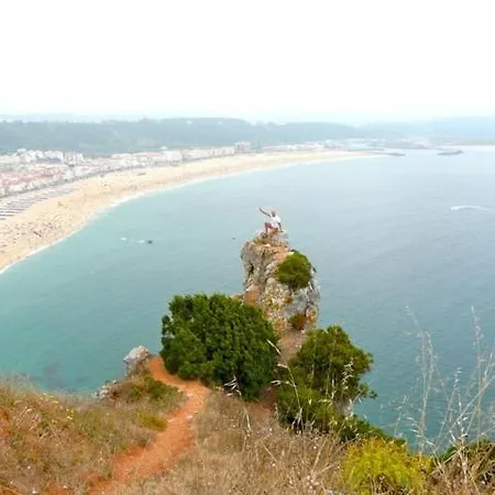 Casa Lavanda - Very Stylish House